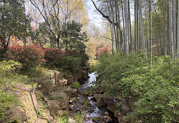 宜兴竹海风景区第 29 张图片