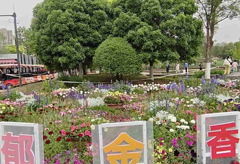 西安植物园新区第 17 张图片