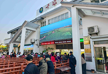 千垛景区第 47 张图片