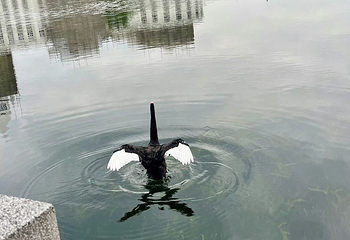 流花湖公园第 38 张图片