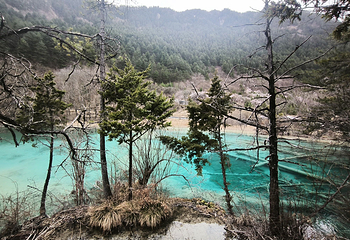 九寨沟风景区第 401 张图片