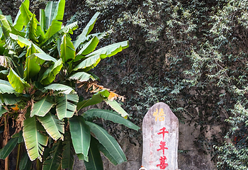 香格里拉巴拉格宗风景名胜区第 175 张图片