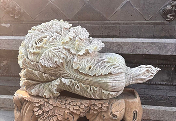 杨柳青古镇第 76 张图片