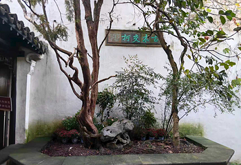 留园第 162 张图片