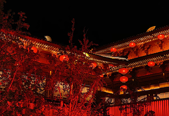 大唐不夜城第 209 张图片