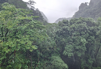 萍乡武功山风景区第 190 张图片