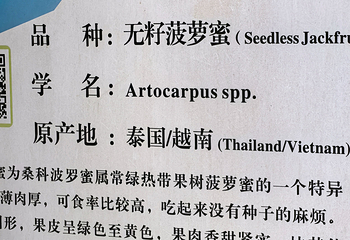 世界热带水果之窗第 47 张图片