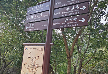 北京西山国家森林公园第 54 张图片