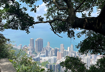 太平山顶第 119 张图片