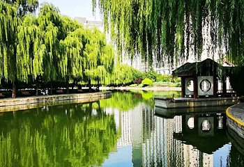 团结湖公园第 115 张图片