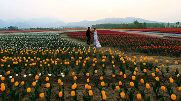 嵖岈山温泉小镇
