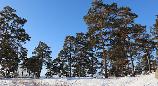 Verevochnyy Ekstrim-Park