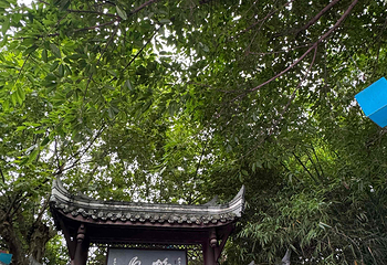鹤鸣·老虎灶·沉浸戏剧·吐火变脸·盖碗茶(人民公园店)第 8 张图片