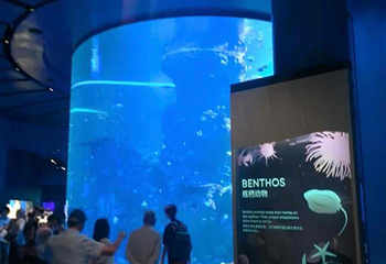 新加坡海洋生态馆第 168 张图片
