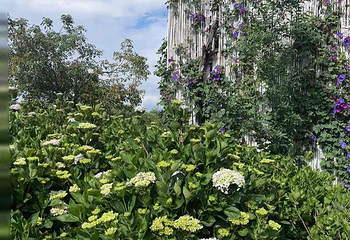 花伴一生玫瑰庄园第 17 张图片
