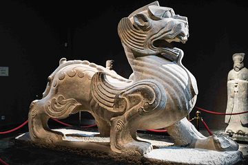 洛阳博物馆第 15 张图片