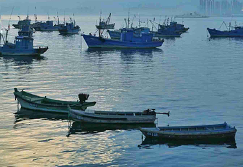 海源公园第 21 张图片