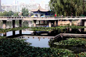 小西湖第 10 张图片