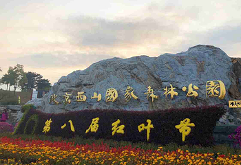 北京西山国家森林公园第 35 张图片