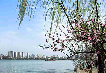 蠡园第 46 张图片