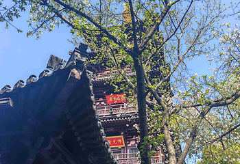 寒山寺第 66 张图片