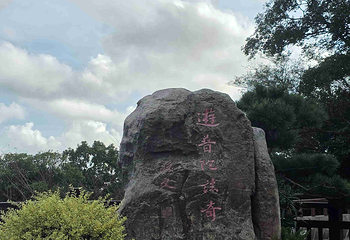 普陀山风景区第 345 张图片