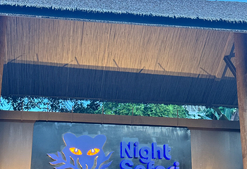 夜间野生动物园第 61 张图片