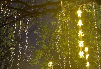 大唐不夜城第 278 张图片