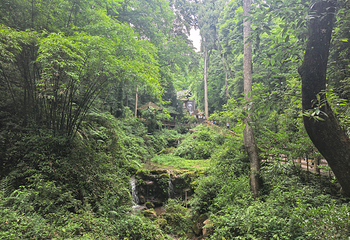 青城山第 159 张图片