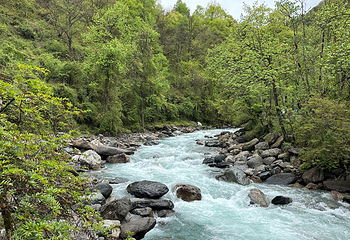二郎山喇叭河风景区第 116 张图片