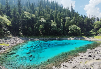 九寨沟风景区第 243 张图片