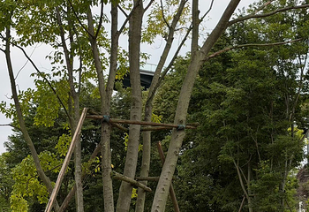 三岔湖景区第 60 张图片