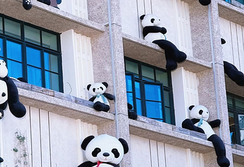 朝阳步行街第 14 张图片