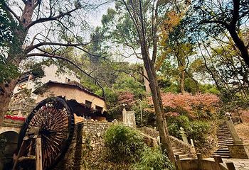 婺源篁岭景区第 350 张图片