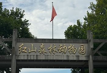 红山森林动物园第 251 张图片