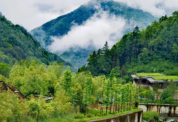 卧龙中华大熊猫苑神树坪基地第 18 张图片