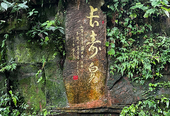 张家界国家森林公园第 324 张图片