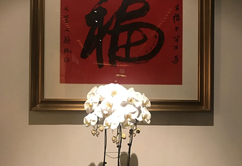 凤临阁第 109 张图片