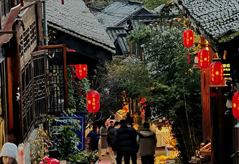 都江堰西街第 22 张图片
