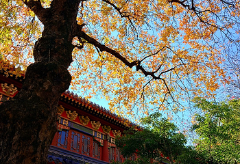 明孝陵第 65 张图片