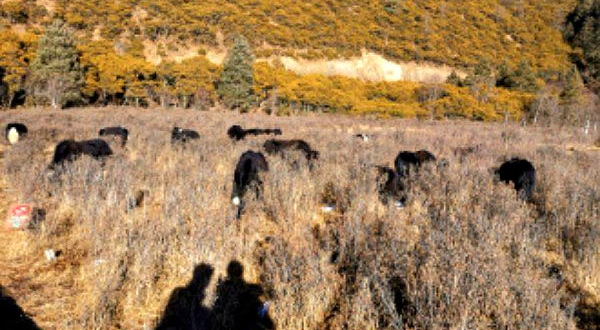 普达措国家公园游船