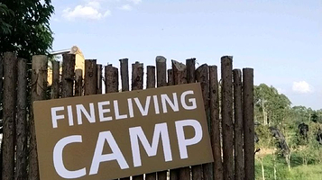 fineliving camp露营地