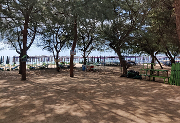 七岩海滩第 16 张图片