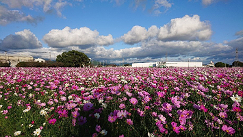 Kirin Beer Fukuoka Brewery
