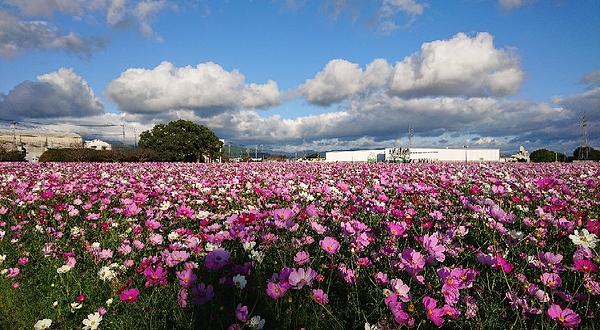 Kirin Beer Fukuoka Brewery