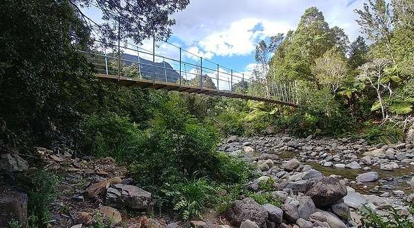 Coromandel Forest Park