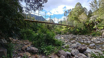 Coromandel Forest Park