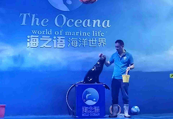 海之语海洋世界第 59 张图片