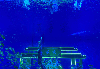 上海海昌海洋公园第 317 张图片