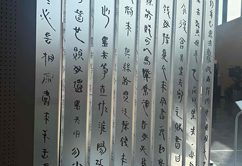 赳赳大秦第 126 张图片